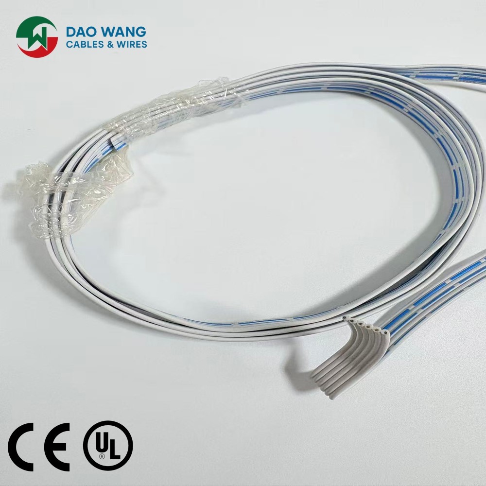 product-1000-1000 product-1000-1000